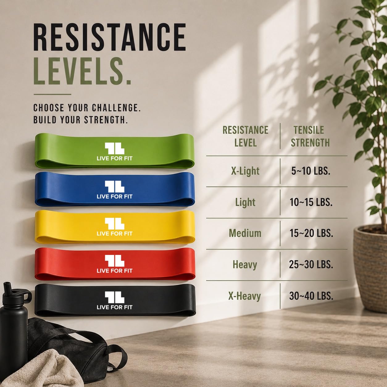 Live For Fit Exercise Resistance Loop Bands with Instruction Guide and Carry Bag, Set of 5. Travel-Ready, Simple, and Compact.