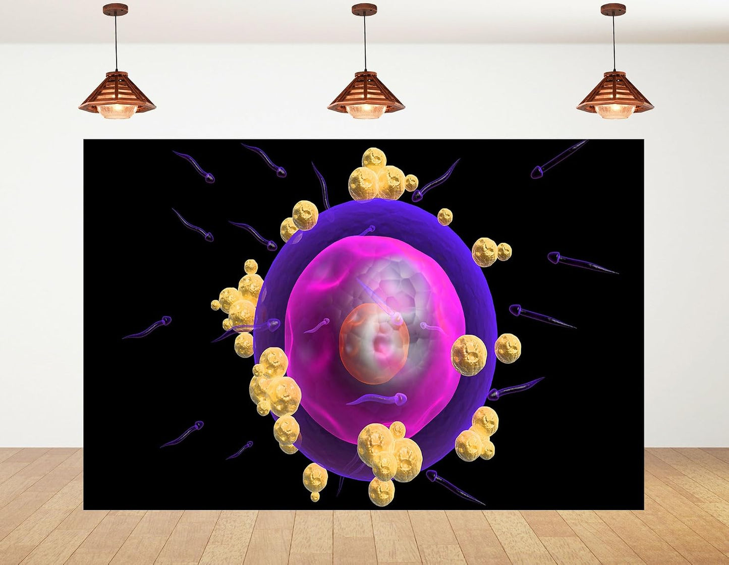 KeyWork 5x4ft Human Egg Cell Fertilization Backdrop Reproductive Science Photography Background for Health Fair