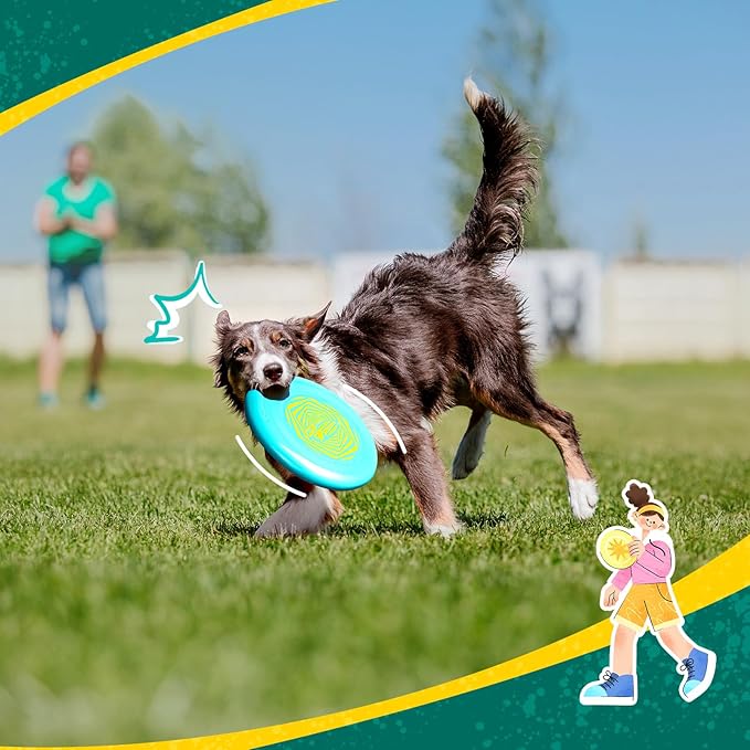 Wham-O Frisbee Go Flying Disc, 9 Inch Lightweight Sports Disc for Beginners Outdoor Beach Backyard Lawn Park Camping Family Activity Game - 70g