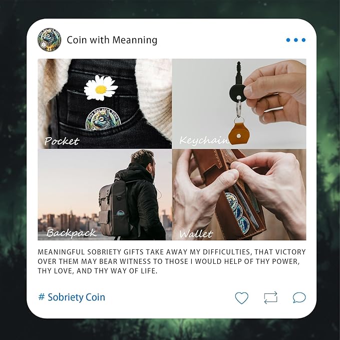 One Day at a Time 2 Year Sobriety Coin - Recovery Aurora Forest Wolf AA Coins - Addiction NA AA Chips and Medallions - Celebrate 1-20 Living Clean Narcotics Alcoholics Anonymous Gifts for Men Women