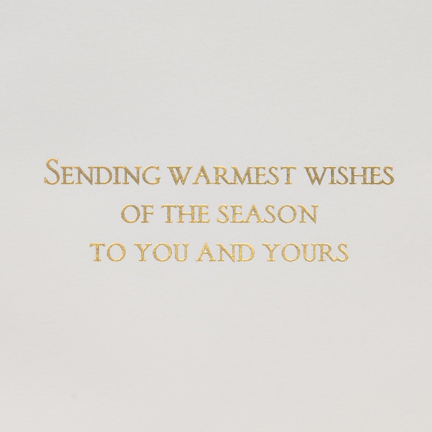Papyrus Quilled Wreath Holiday Card, Perfect for Friends & Family (Warmest Wishes)