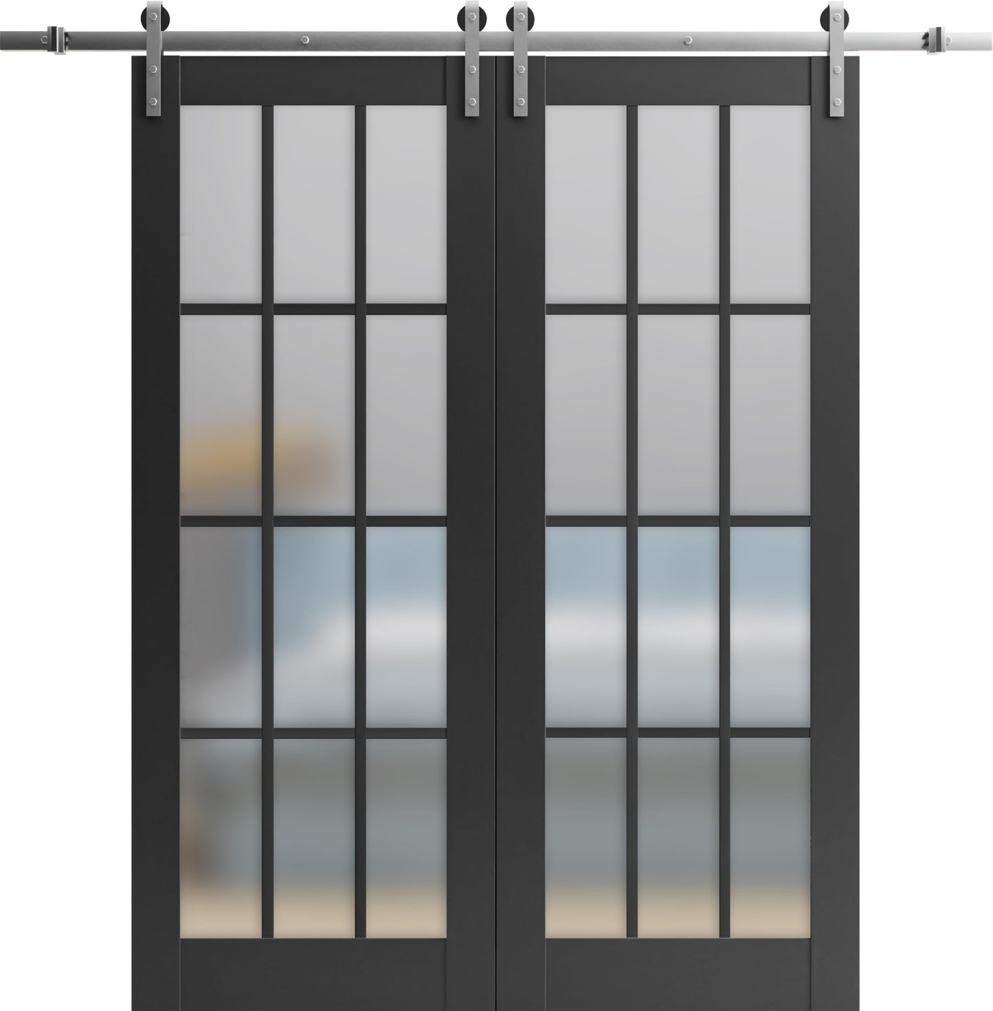 SARTODOORS Sturdy Double Barn Door with Frosted Glass 12 Lites | Felicia 3312 Matte Black | 13FT Rail Hangers Heavy Set | Solid Panel Interior Doors-56" x 84" (2 * 28x84)-Silver Rail