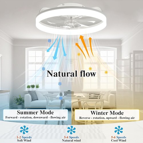 Ceiling Fans with Lights and Remote Fandelier - White 20'' Flush Mount Low Profile Modern Ceiling Fans for Bedroom - Stepless Color Temperature and 6 Speeds, White
