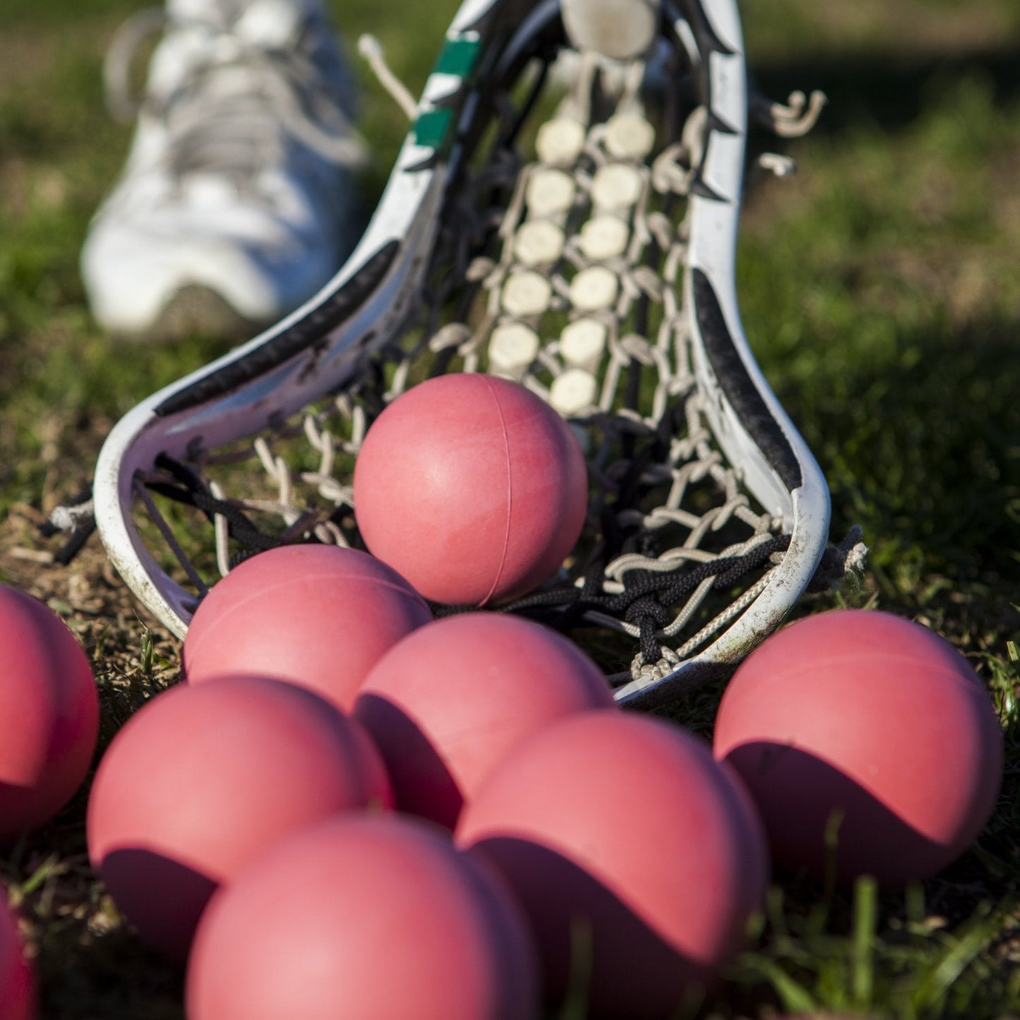 Champion Sports Sponge Lacrosse Balls: Soft Touch for Professional, College and Grade School Indoor Outdoor Training and Practice - 12 Pack, Pink-Sponge