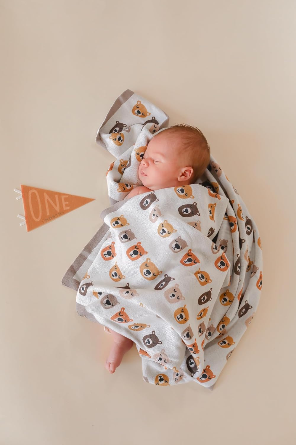 Set Lucy Darling Petit Milestone Pennants Baby Monthly Milestone Pennant Flags Newborn Photo Props & Felt Nursery Decor