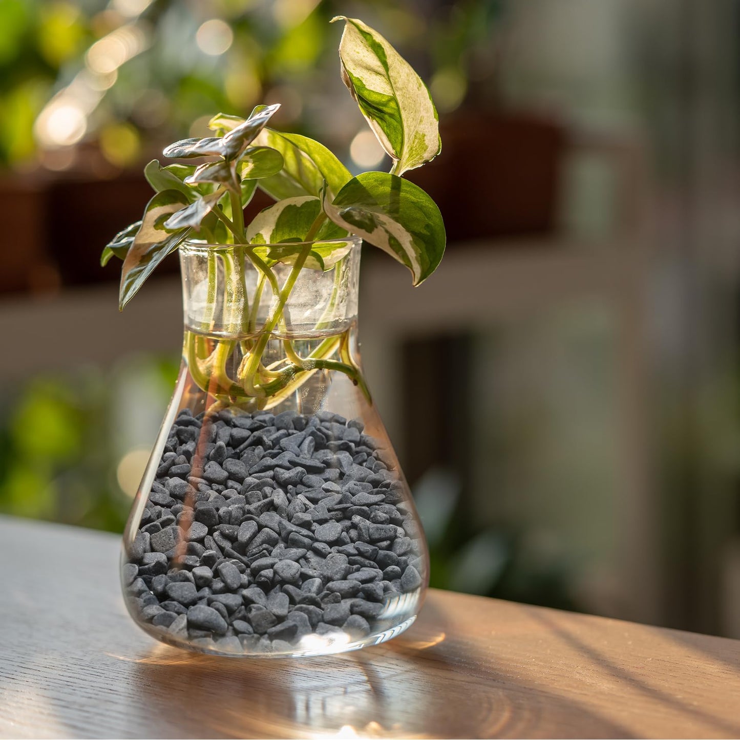 Mr. Fireglass Natural Decorative Gray Bean Pebbles 1/5" Crushed Gravel Stone for Decorating Garden, Succulent Plants and Walkway (10-lb Bag)