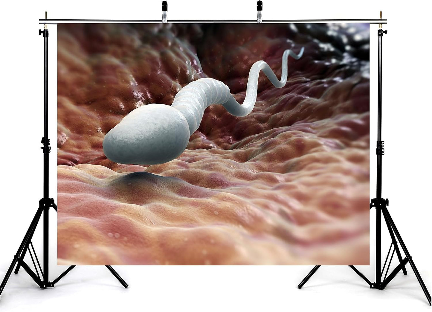 KeyWork 9x6ft Sperm Cell Backdrop Microscopic Reproductive Tissue View Photography Background for Medical Conference