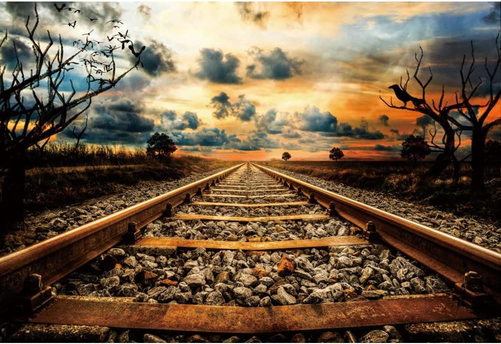 Eainb 10x8FT Sunset Old Train Track Backdrop Vintage Railway Station Photography Background for Photoshoot Nature