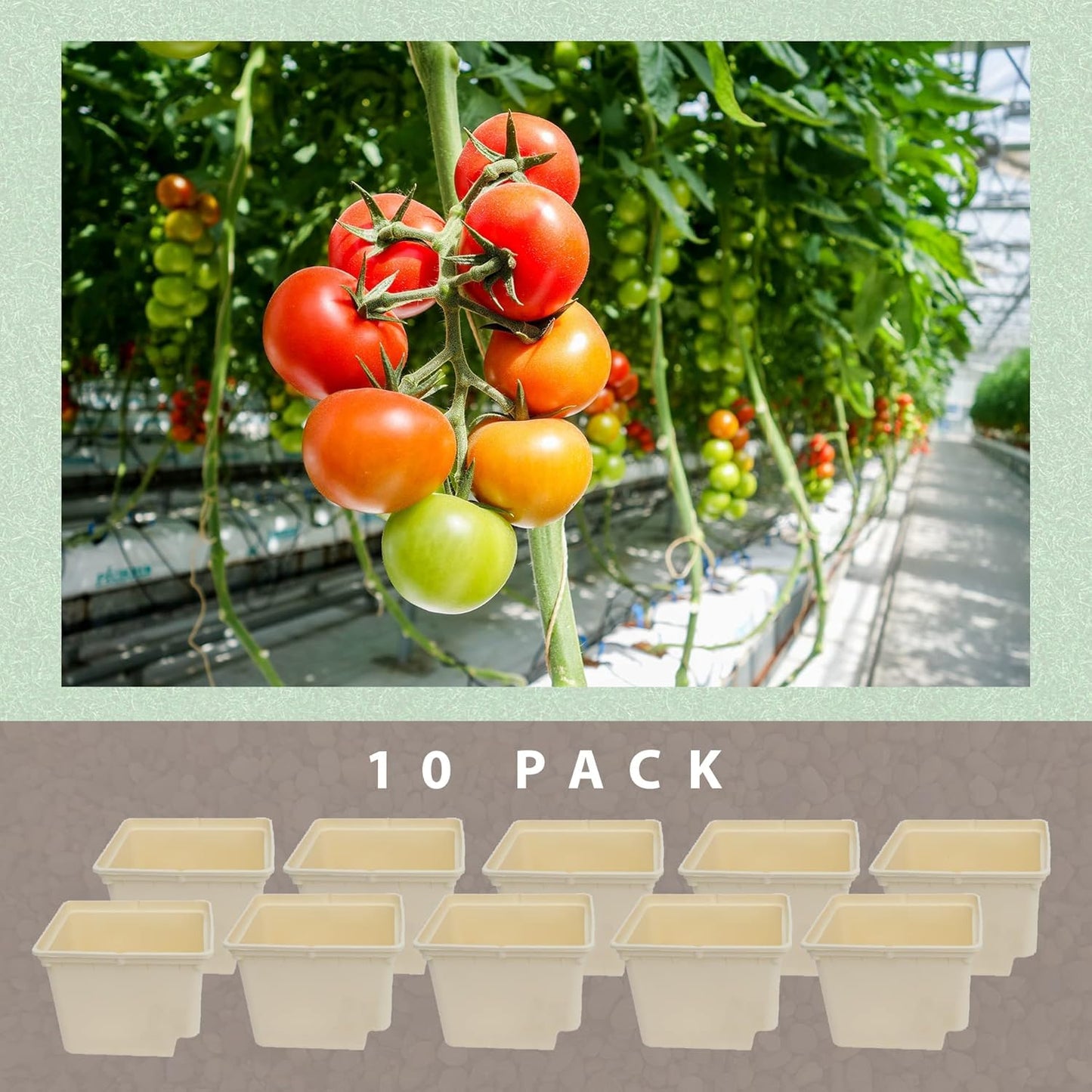 10-Pack Dutch Bucket Hydroponic System – Bato Buckets with Siphon Elbows – 11L (12" x 10" x 9") - Tan or Black (Black)