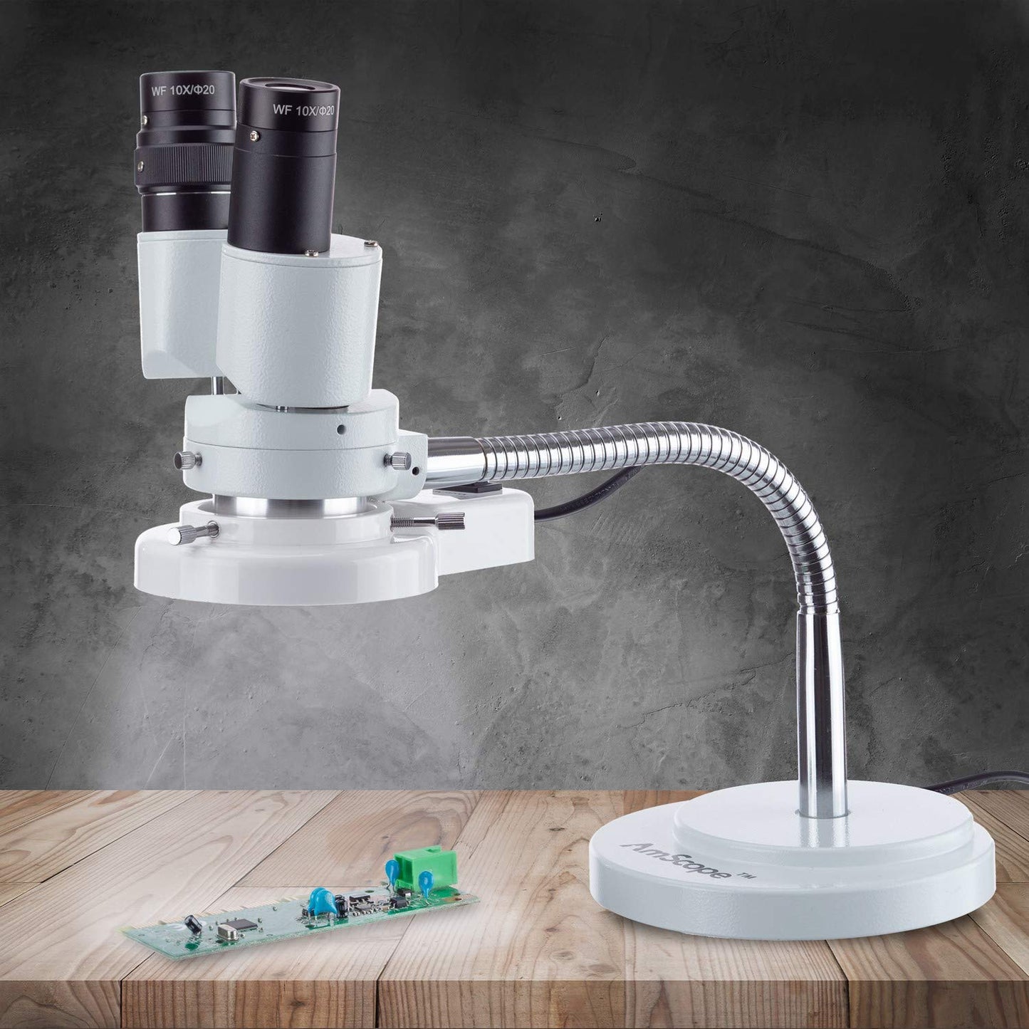 AmScope - 8X Binocular Stereo Microscope w/ 360 Revolve + 8W Fluorescent Ring Light - Gooseneck Illuminator Set for Dental, Lab, Electronic Repairs - SE508-FRL
