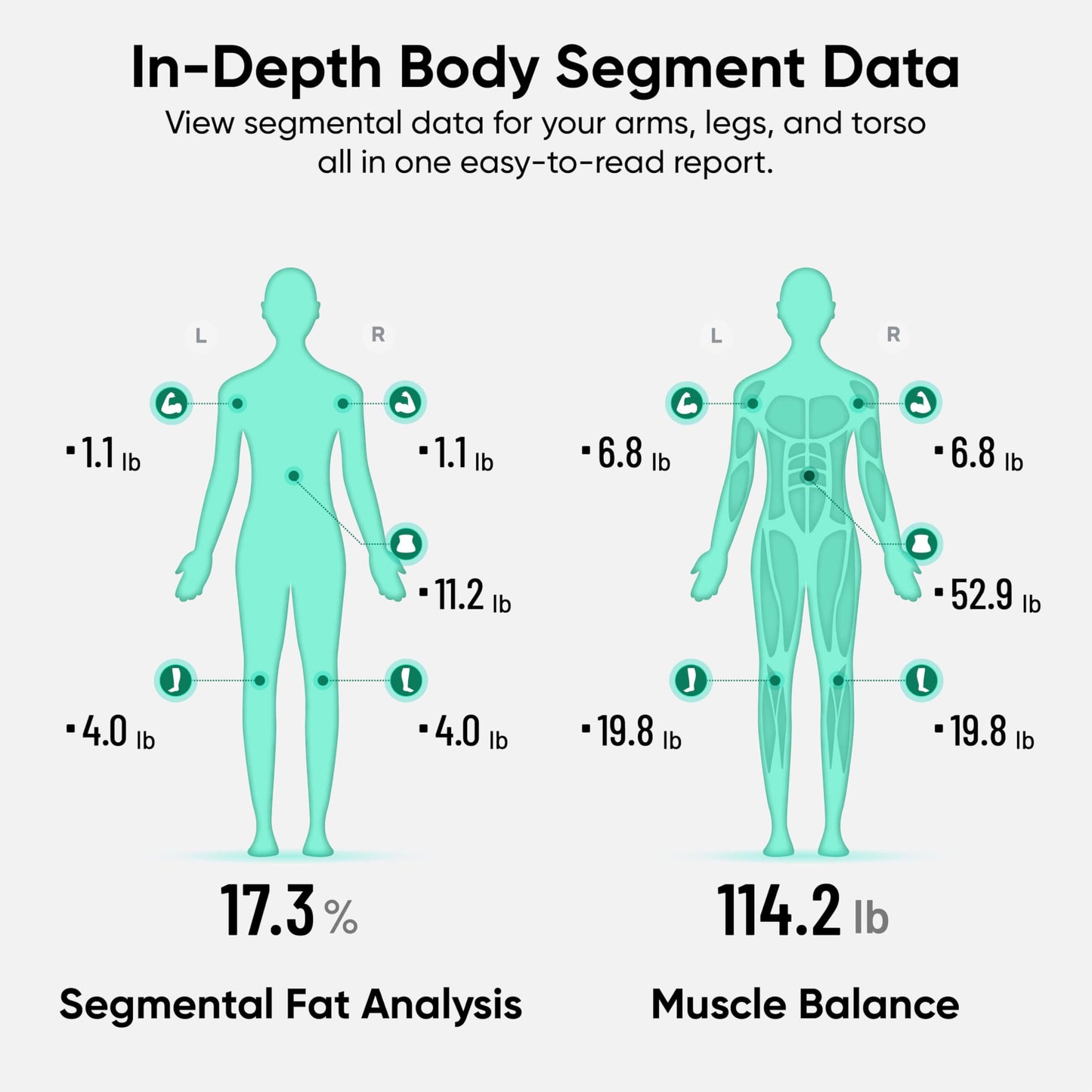 Wyze Smart Scale Ultra BodyScan with Handle – Wi-Fi & Bluetooth Body Composition Scale for Weight, BMI, Body Fat, Muscle Mass, and Segmental Measurement, 400 lbs, Black