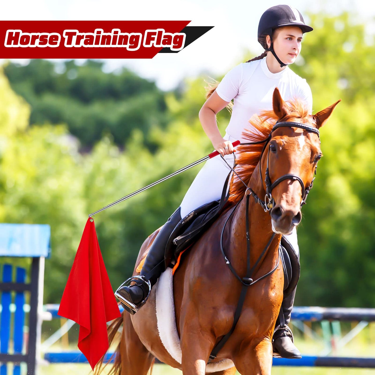 Sunnyray 48" Horse Training Flag Horse Training Equipment with 4 Feet Replacement Flags and Telescopic Handheld Flagpoles, Red, Black