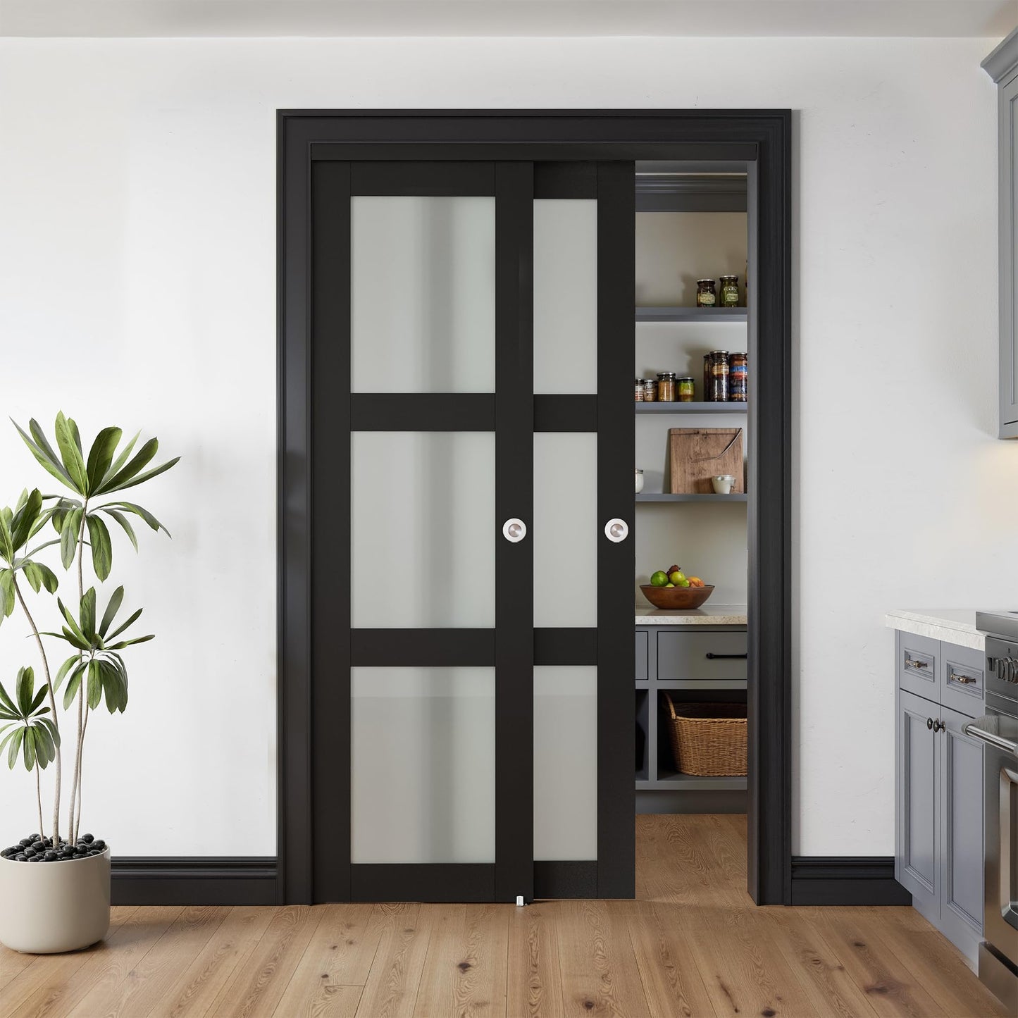 COSHOMER Sliding Closet Door for 48" x 80" Opening with Hardware Kit Set, Preassembled 3-Lite Frosted Glass MDF Barn Doors, Black