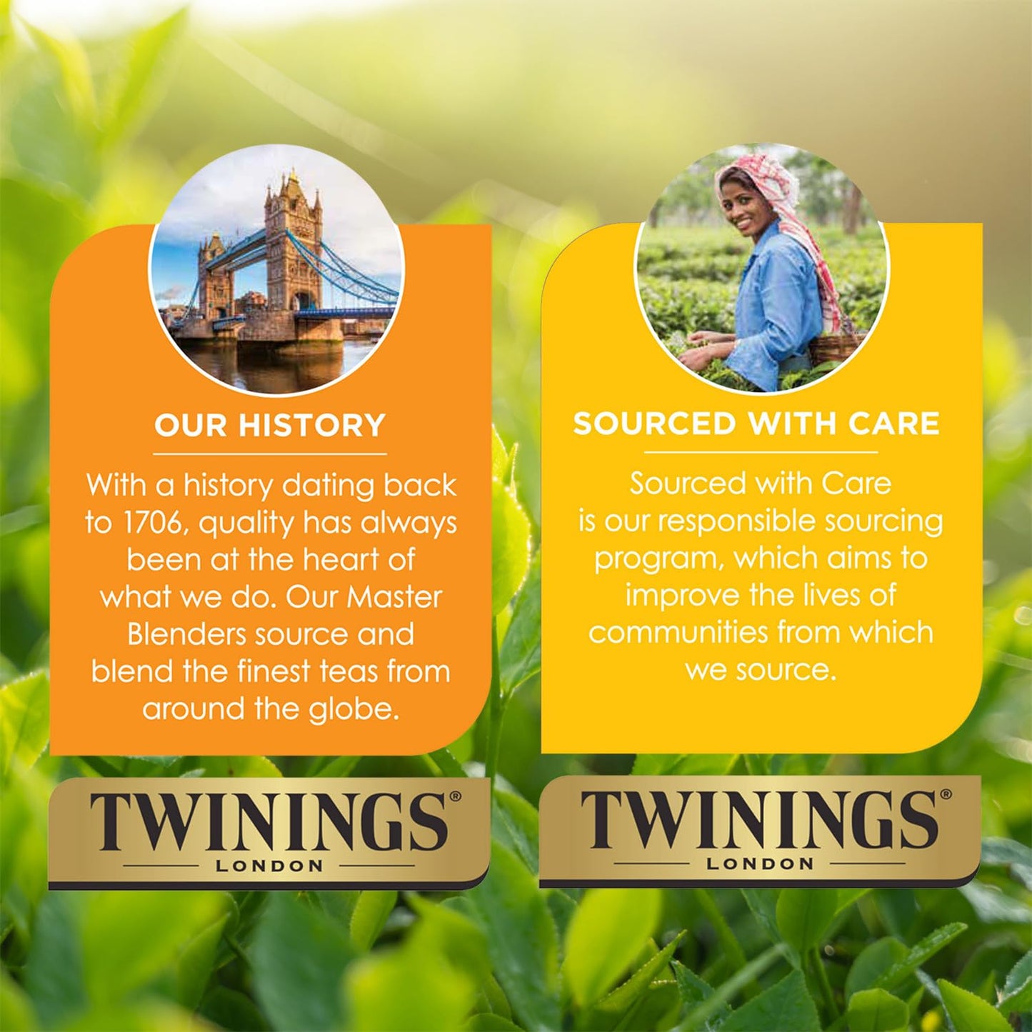 Twinings of London Ceylon Orange Pekoe Tea - Premium Quality | Box of 20 Tea Bags
