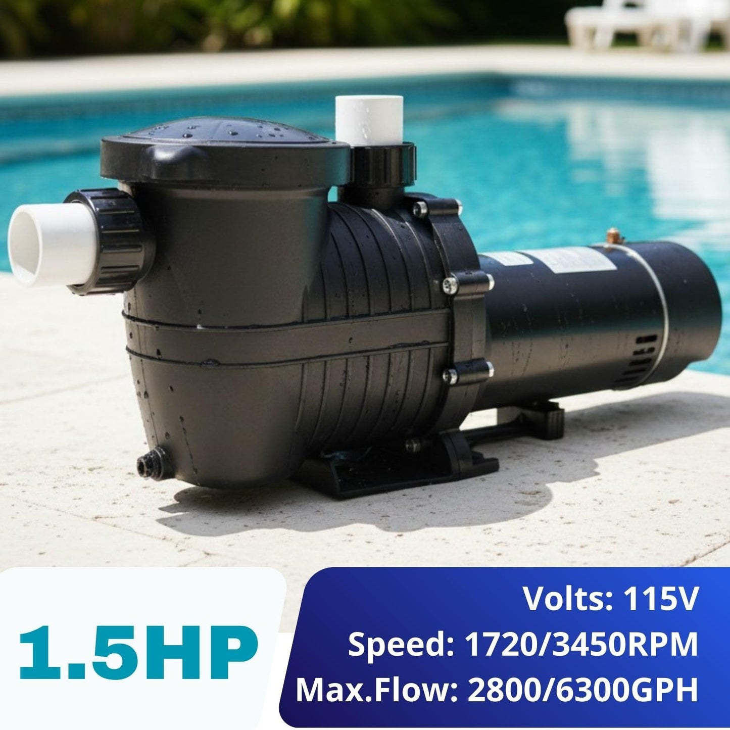 LANCHEZ In/Above Ground Pool Pump, Self Primming (Dual Speed, 1.5 HP, 6300 GPH, 115V, 1.5" & 2" NPT Adapter, Strainer Basket), Deep black