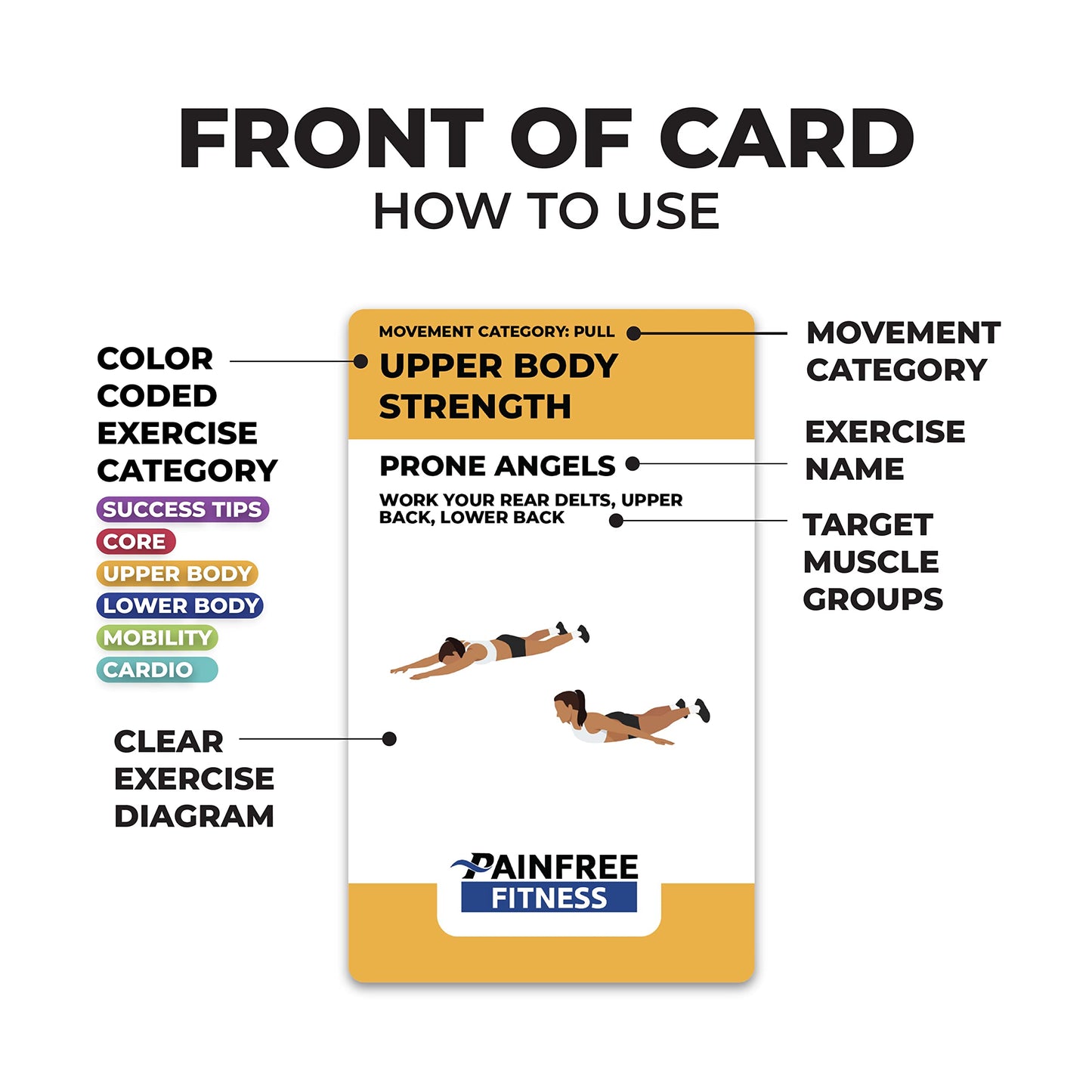 65 Bodyweight Workout Cards Deck 3x5''- Fundamental Exercise Cards for Home Workouts - Beginner to Intermediate - QR Video Guides & Inclusive Artwork - Tear-Resistant
