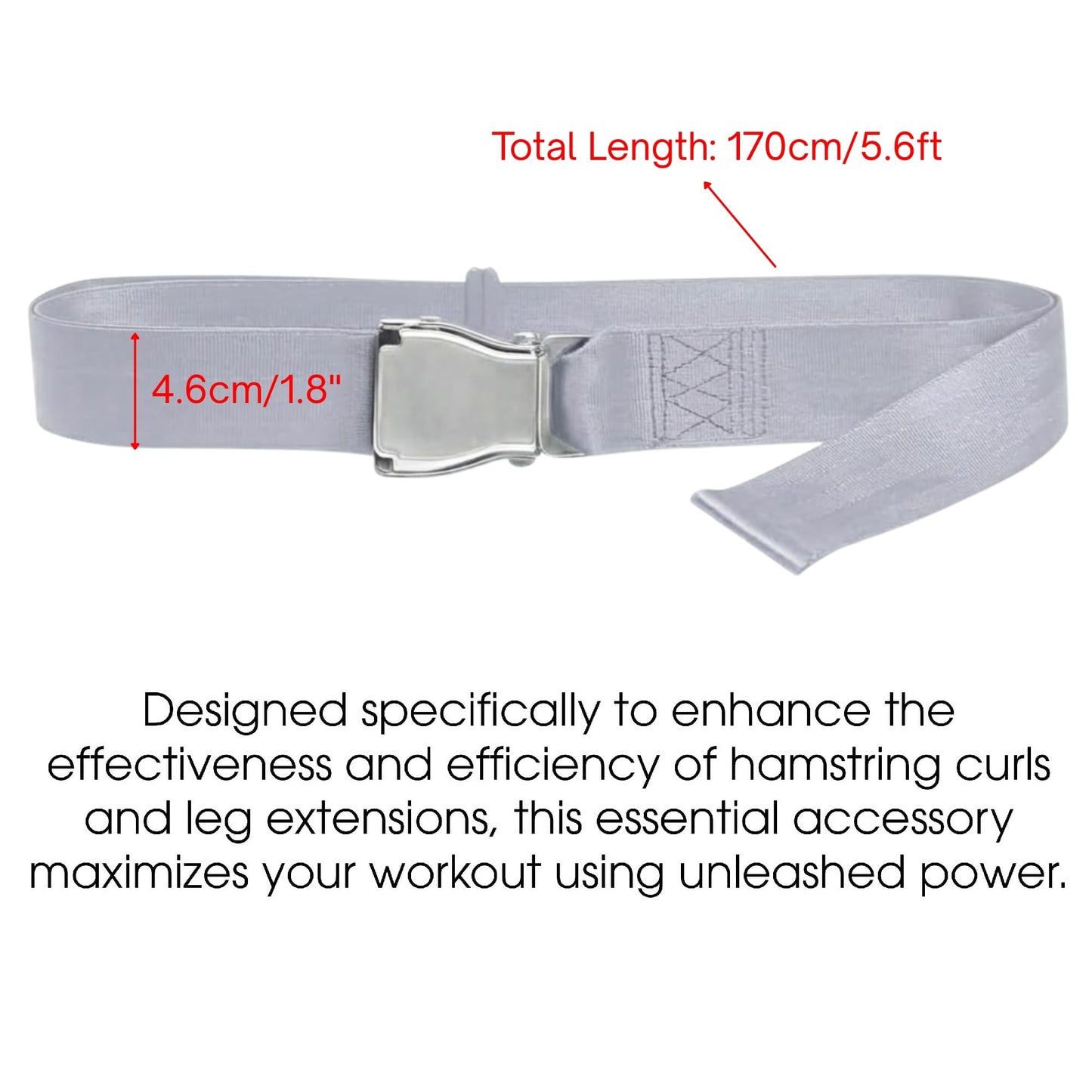 Gym Seatbelt, Leg Extension Lifting Seatbelt, Nordic Hamstring Curl Strap on Bench, 5.6ft L, Buckle Squat Collar for Workouts Machine, Home Gym Stretch & Mobilization Exercise for Men Women (Grey)