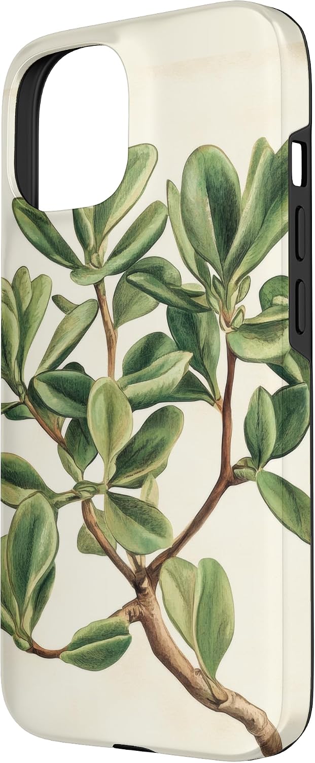 Antique Plant Botanical Art Garden DonaOnca 15 Succulent Jade Plant Vintage Scientific Illustration Plant Case