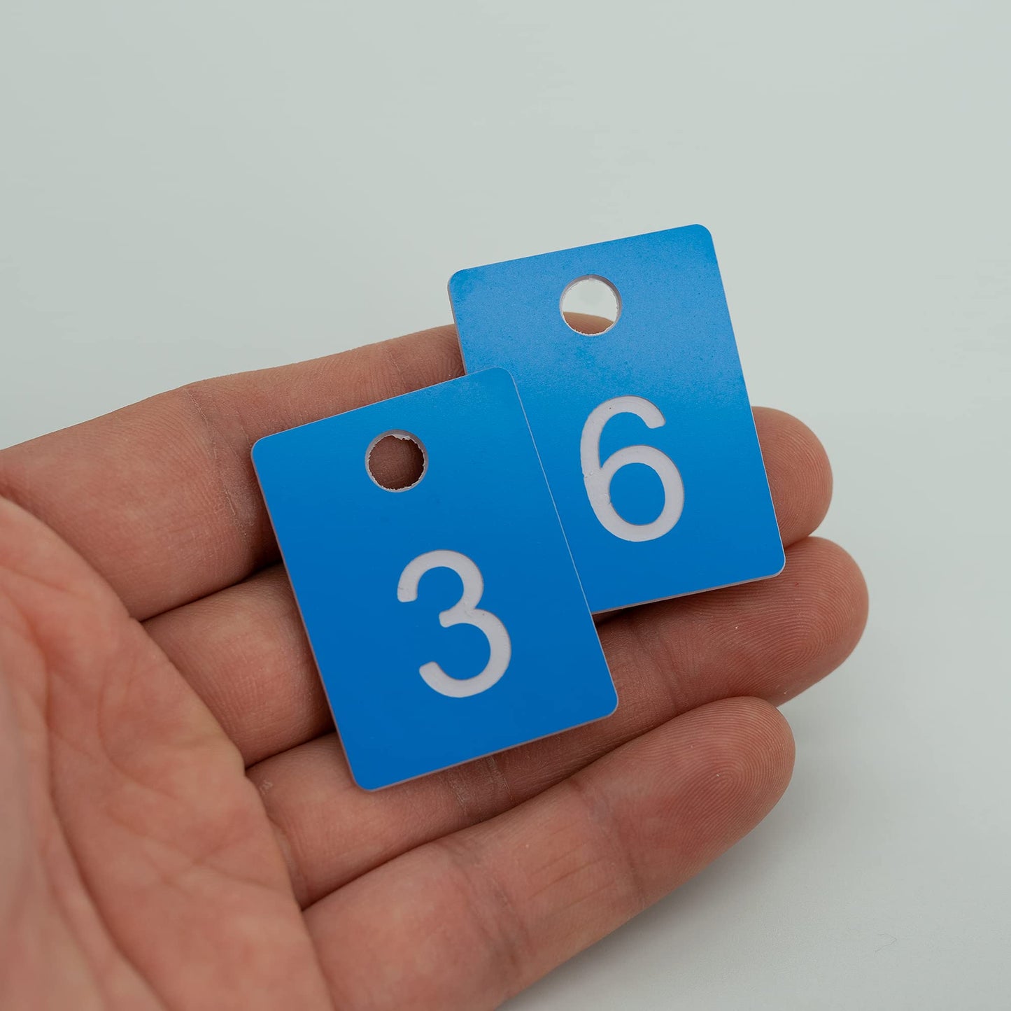 StayMax ABS Plastic Numbered Key Tags Rectangle ID Tag Number Disc with Hole (1-50, Blue)