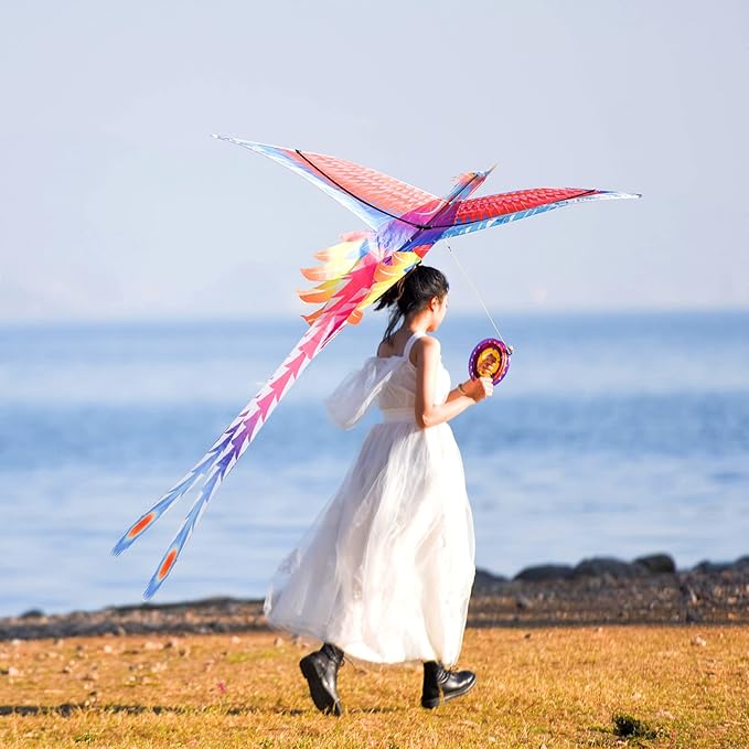 Mint’s Colorful Life Large Kite for Kids and Adults, Easy to Fly Single Line Beach Kites, Comes with 300ft String Handle