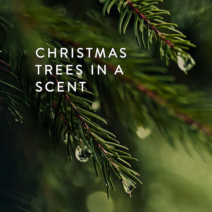 Thymes Frasier Fir Scented Candles for Home Decor - Green Pillar Candles for Women & Men - Place on Candle Holder - Luxury Home Fragrance Gifts - Large (3" x 6" Pillar)