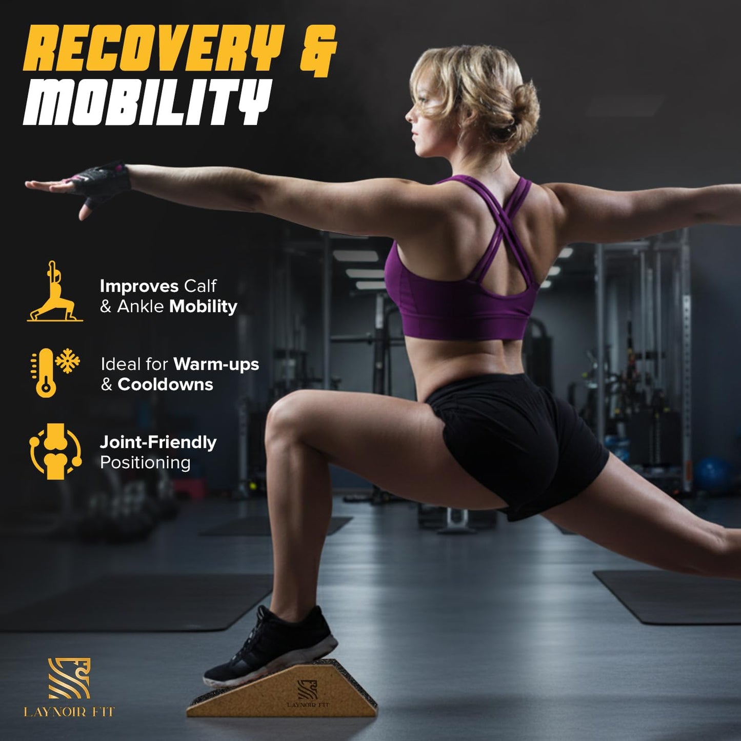 LAYNOIR Fit Anti-Slip Squat Wedge Block (2-Pack) – Heel Elevated Squats, 20° & 40° Cork Wedges for Weightlifting, Mobility & Knee Support – Includes Resistance Bands & Carry Bag