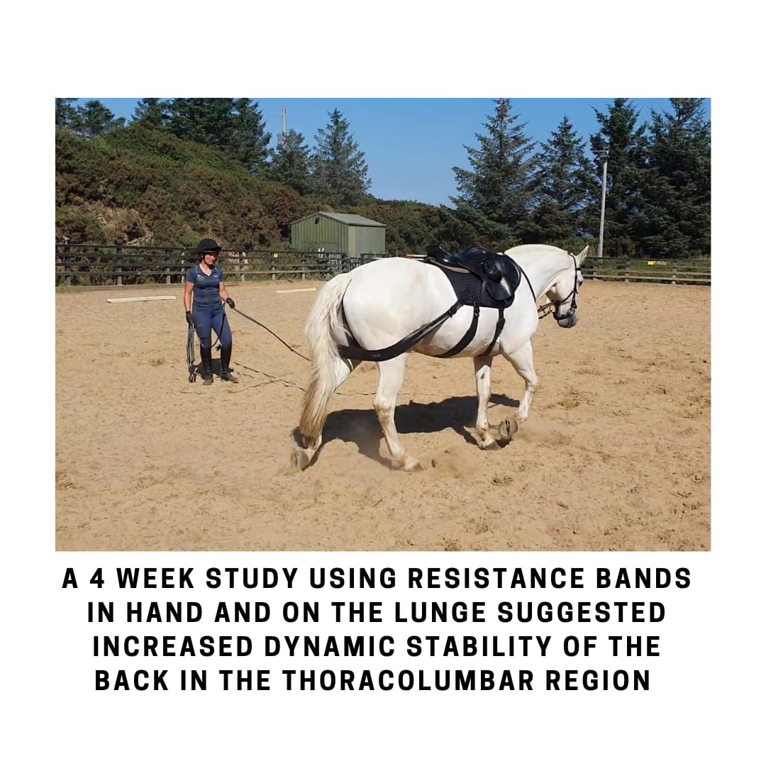 Equine Band System - Core Training Aid for Horses. Saddle Pad and Equibands System (All Purpose)
