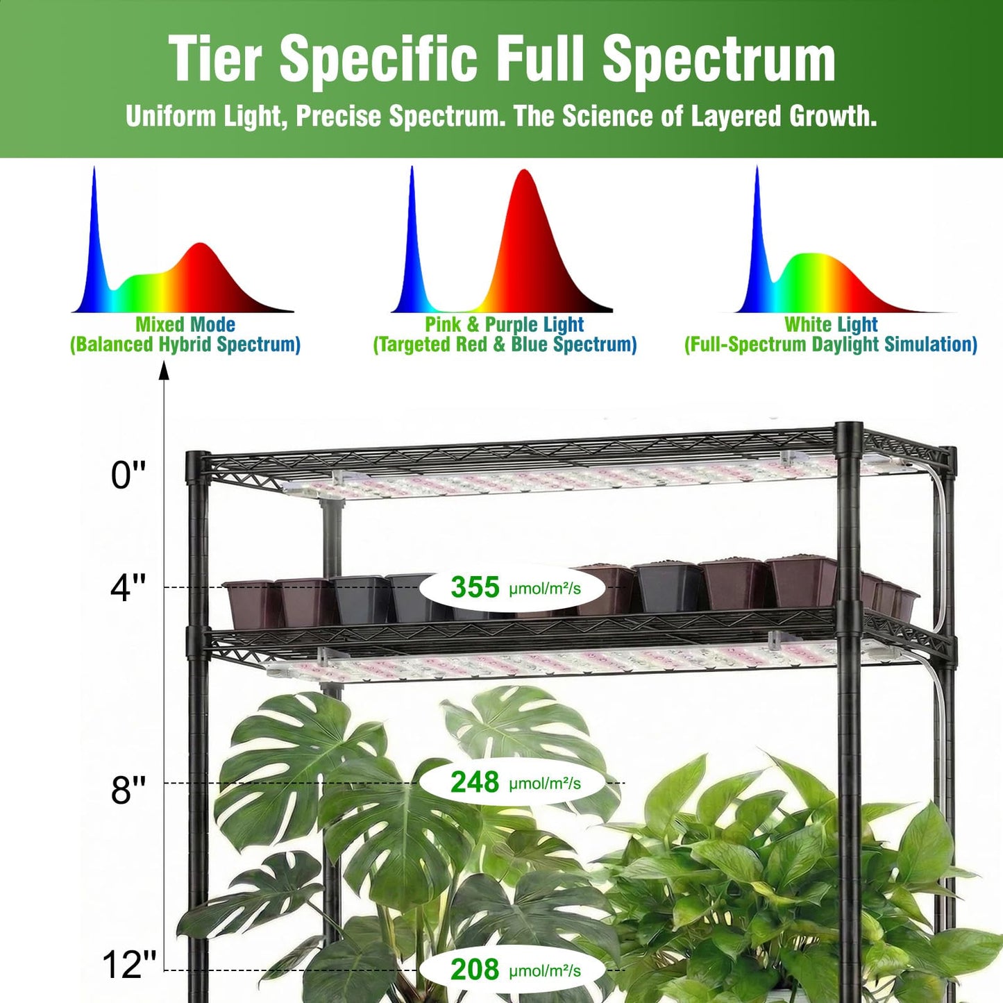 Indoor Greenhouse with Grow Light - 5 Tier DIY Plant Shelf with Cover, 4 Pack 48W Full Spectrum Grow Lights with Timer & 3 Color Mode for Indoor Plants, Seed Starting, Seed Tray 22x11.8x61 Inches