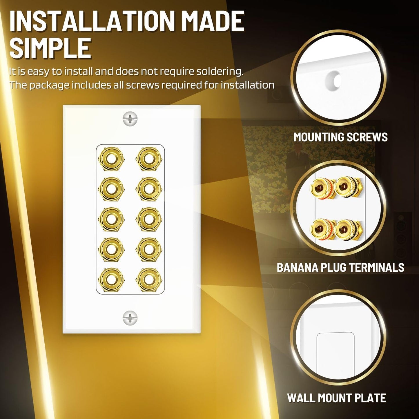 TNP Products 5 TNP Home Theater Wall Plate - Banana Plug Wall Plate, Speaker Wire with Gold-Plated Terminals, Single