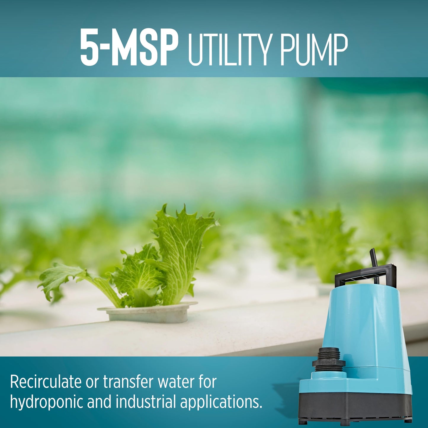Little Giant 5-MSP 230-Volt, 1/6 HP, 1500 GPH Manual Aluminum Utility Pump, 12-Ft. Cord (plug-less), Blue, 505714