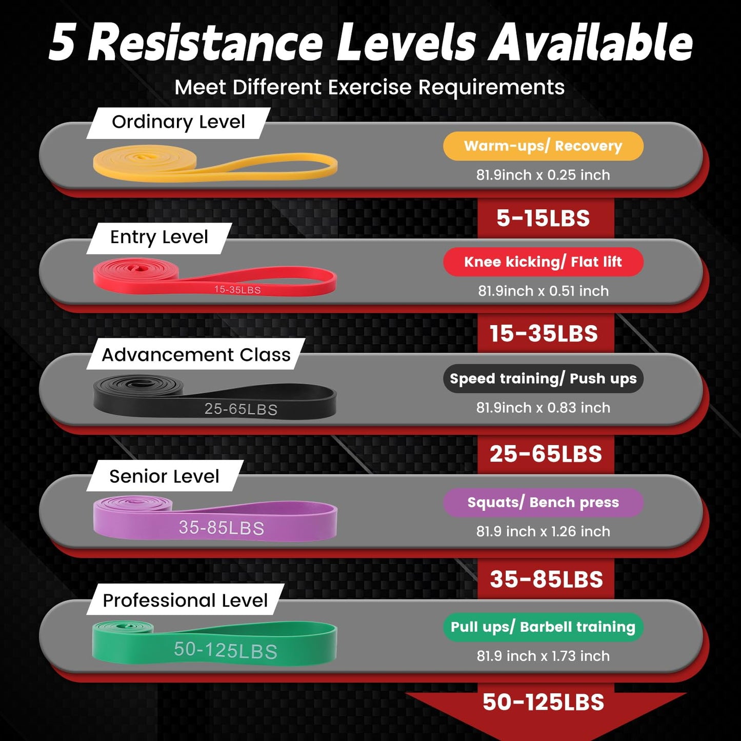 Pull Up Assistance Bands, 5 Levels Resistance Bands for Working Out, Exercise Bands Resistance for Men & Women, Pull Up Bands for Body Training, Muscle Building, Physical Therapy, Home & Gym Fitness