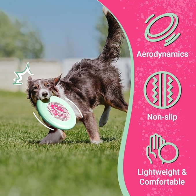 Wham-O Frisbee Go Flying Disc, 9 Inch Lightweight Sports Disc for Beginners Outdoor Beach Backyard Lawn Park Camping Family Activity Game - 70g