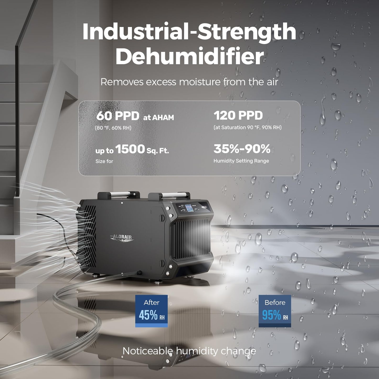 ALORAIR Galaxy 60 Crawl Space Dehumidifier 145 PPD, Commercial Basement Dehumidifier with Drain Hose, Auto Defrost, Compact Portable Dehumidifier for Crawlspaces and Basements, Up to 1,800 Sq. Ft.