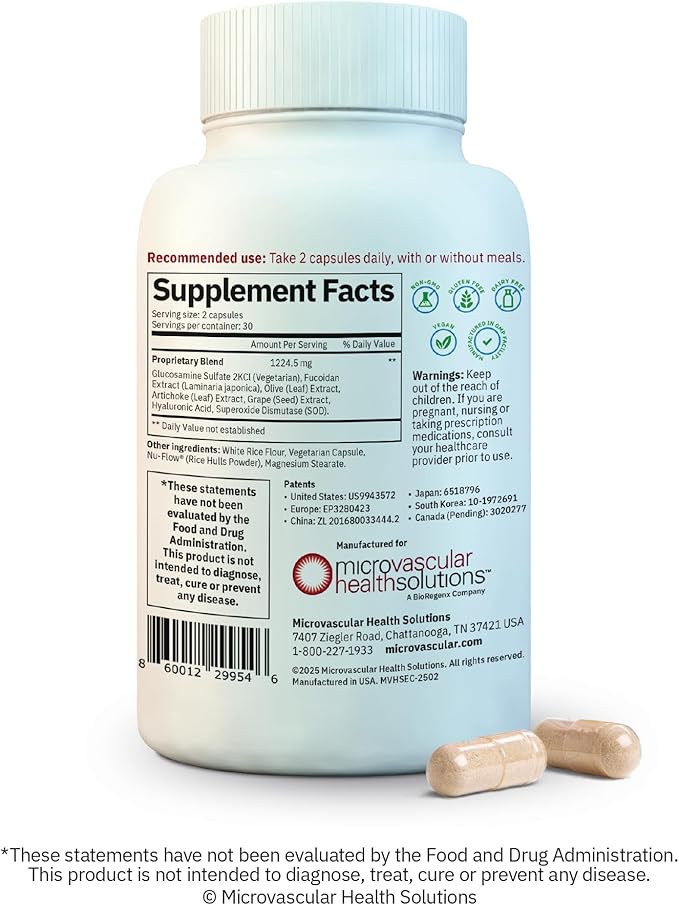 Endocalyx Supplement - Endothelial Glycocalyx Support 60 Capsules - Vascular & Microcirculation Health - Clinically-Studied - Patented - Supports Nitric Oxide Functions