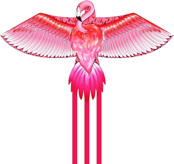 Mint’s Colorful Life Large Kite for Kids and Adults, Easy to Fly Single Line Beach Kites, Comes with 300ft String Handle