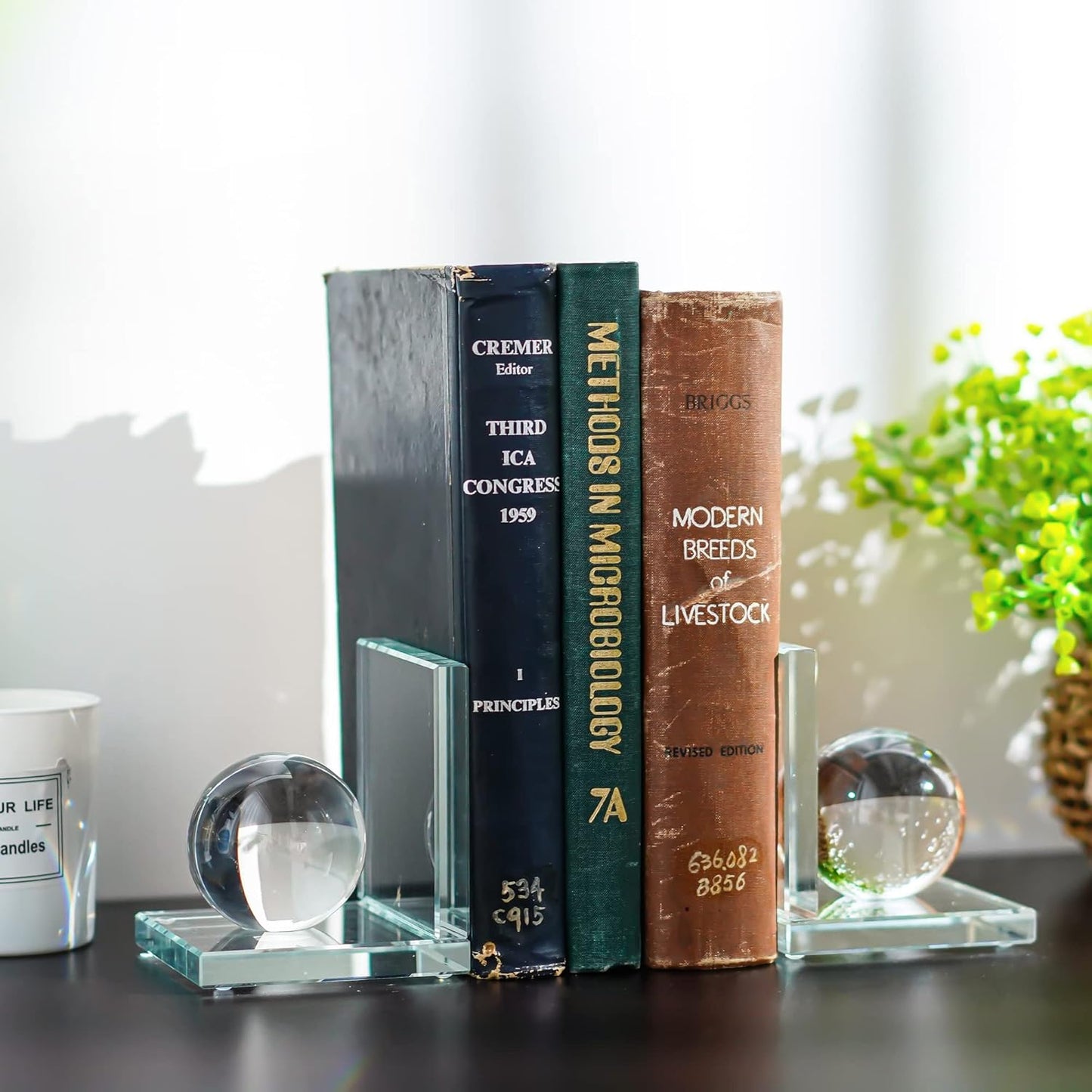 Skiennix Crystal Bookends - L-Shape Non-Skid Heavy-Duty Book Holders | 4-Inch Clear Decorative Ornaments