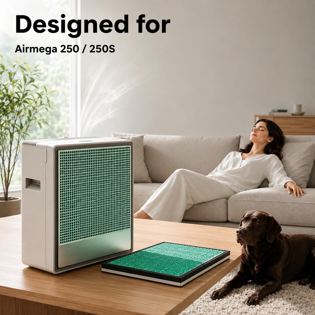 2 Pack 250/250S Air Purifier Replacement Filter Compatible with Coway Airmega 250/250S Air Purifiers, Max 2 Green True HEPA and Active Carbon Filter