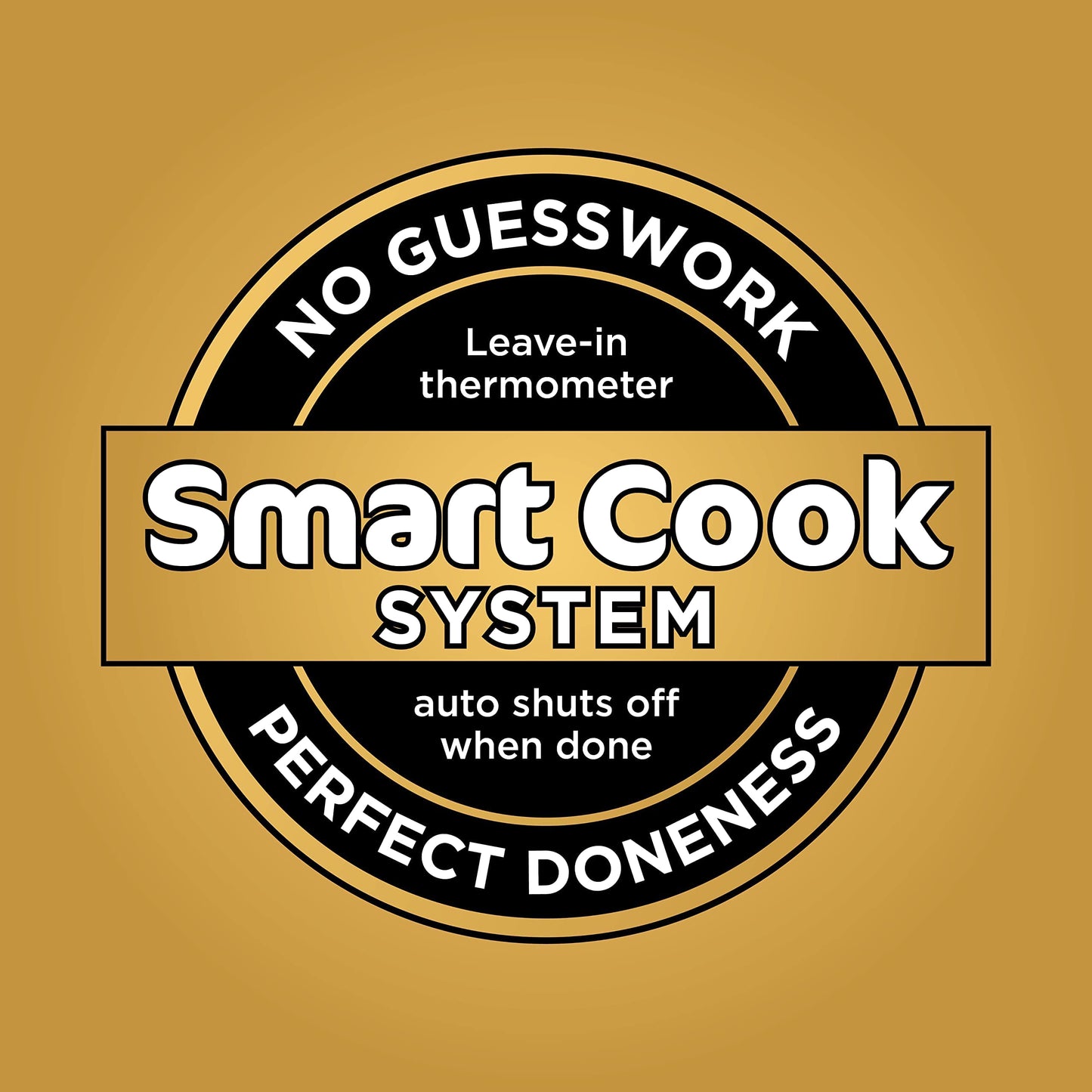 Ninja DZ550 Foodi 10 QT 6-in-1 DualZone Smart XL Air Fryer with 2 Independent Baskets, Smart Cook Thermometer for Perfect Doneness, Match Cook & Smart Finish to Roast, Dehydrate & More, Grey