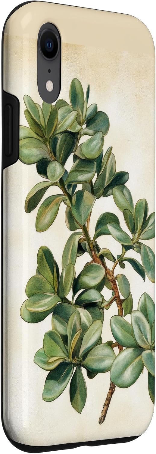 Antique Plant Botanical Art Garden DonaOnca Succulent Jade Plant Vintage Scientific Illustration Plant Case for iPhone