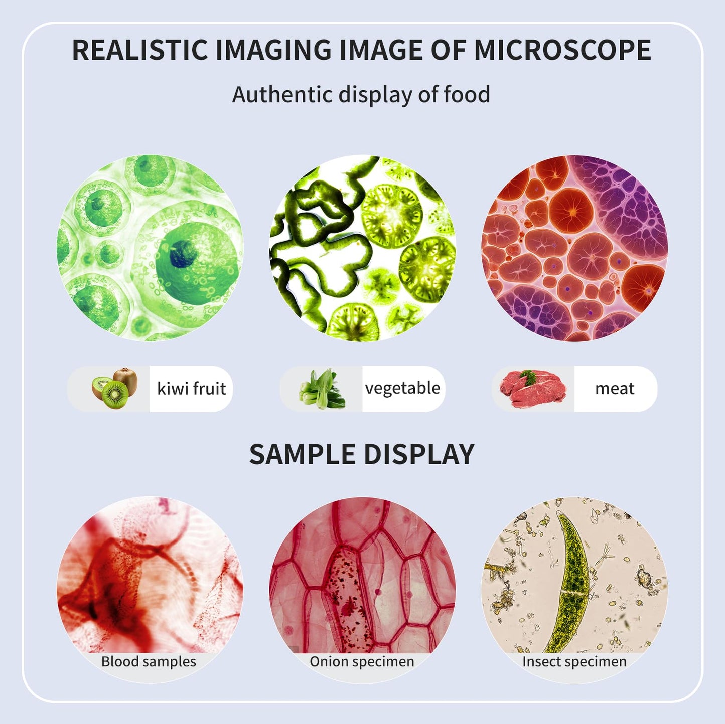 Trinocular Microscope 40x-2000x Magnification Double-Layer Stage with LED Lights on top and Bottom, Thick and Thin Dual Focusing knobs, Professional Biological Microscope (WiFi Electronic Eyepiece)