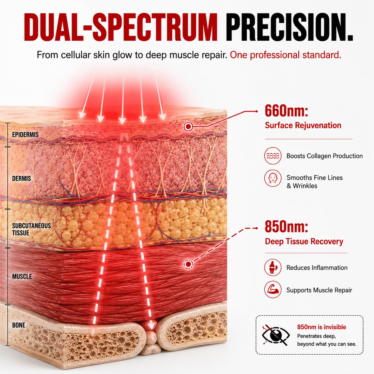 Red Light Therapy Panel for Body & Face – 660nm Red + 850nm Near Infrared Light, Adjustable Intensity & Pulsing, Quiet Cooling, Stand & Door Mount for Active Restoration & Skin Wellness