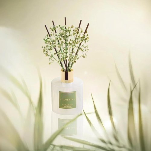 Cocorrína Reed Diffuser - Bamboo Stream Scented Home Fragrance with 8 Sticks | Elegant Bathroom Decor