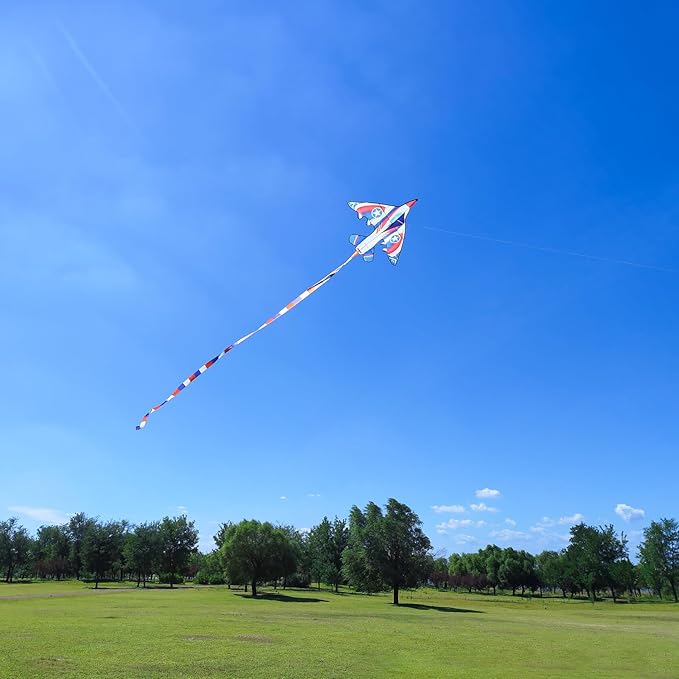 Delta Kite for Kids & Adults - Easy to Fly Large Single Line Beach Kite with 300ft String Handle Included, Perfect for Beginners, Teens