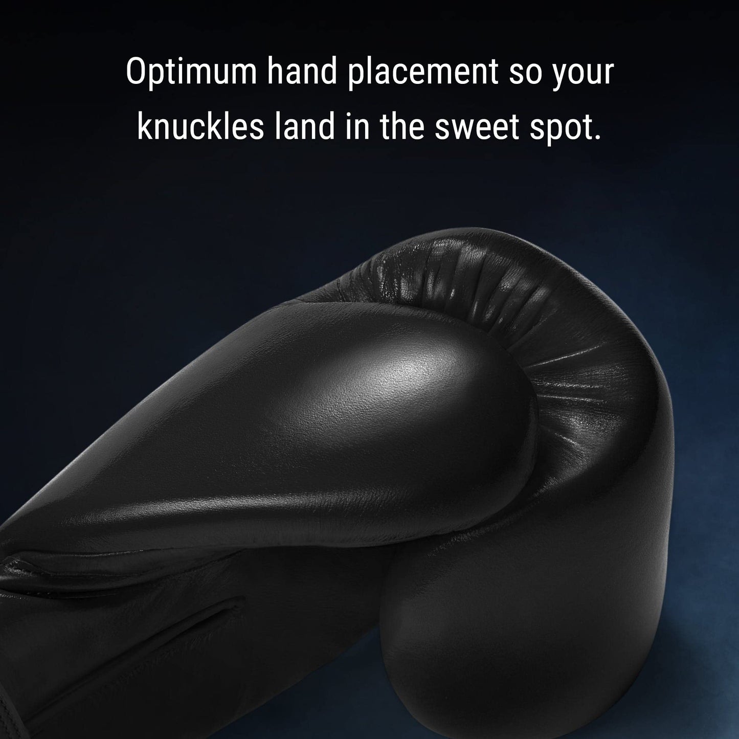 Hayabusa Pro Leather Hook and Loop Boxing Gloves for Men and Women - Black, 20oz