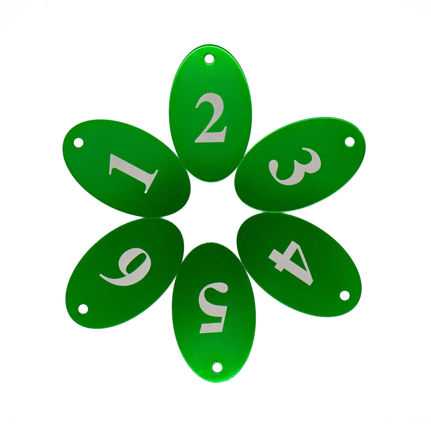 StayMax Aluminum Alloy Oval Number Tag Key Tag with Key Rings (1-25, Green)
