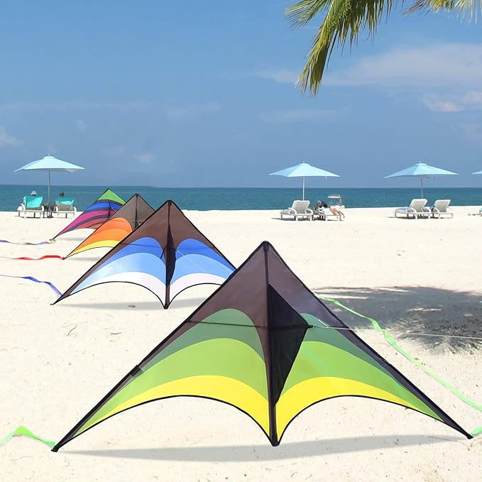 Mint's Colorful Life Delta Kite for Kids & Adults, Extremely Easy to Fly Kite, Best Kites for Beginner