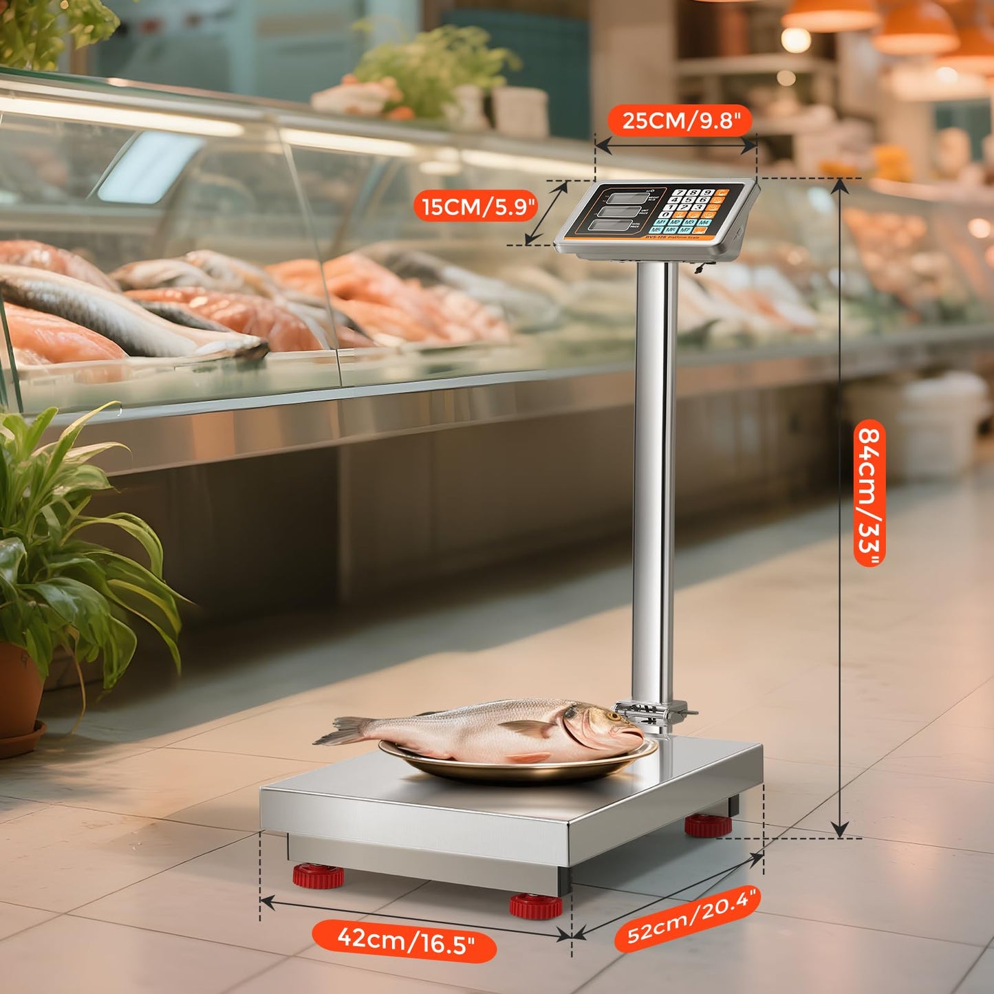 Bonvoisin Digital Platform Scale with Stainless Steel Platform 660LBs Heavy Duty Warehouse Floor Scale for Weighing Packages, Luggage, Suitcases, Boxes (20.4” X 16.5“ Platform)