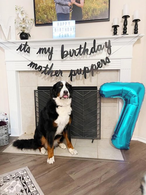 Light Blue 40 Inch Number 8 Balloon - Perfect for 8th Birthday Parties, Weddings & Graduations