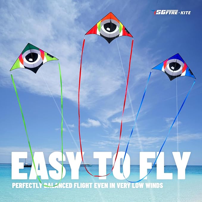 Delta Kites for Kids & Adults，Extremely Easy to Fly，Single Line Beach & Park Kite for Family Outdoor Games & Activities (Eye of The Sky)