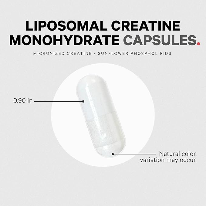 Codeage Liposomal Creatine Monohydrate Supplement, Pure Creatine 2500mg - 3 Months Supply, Micronized, Creatinine Muscles Sports Nutrition and Athletes, Non-GMO - 360 Capsules